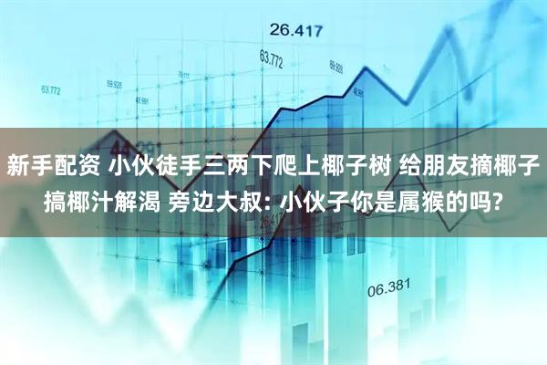新手配资 小伙徒手三两下爬上椰子树 给朋友摘椰子搞椰汁解渴 旁边大叔: 小伙子你是属猴的吗?